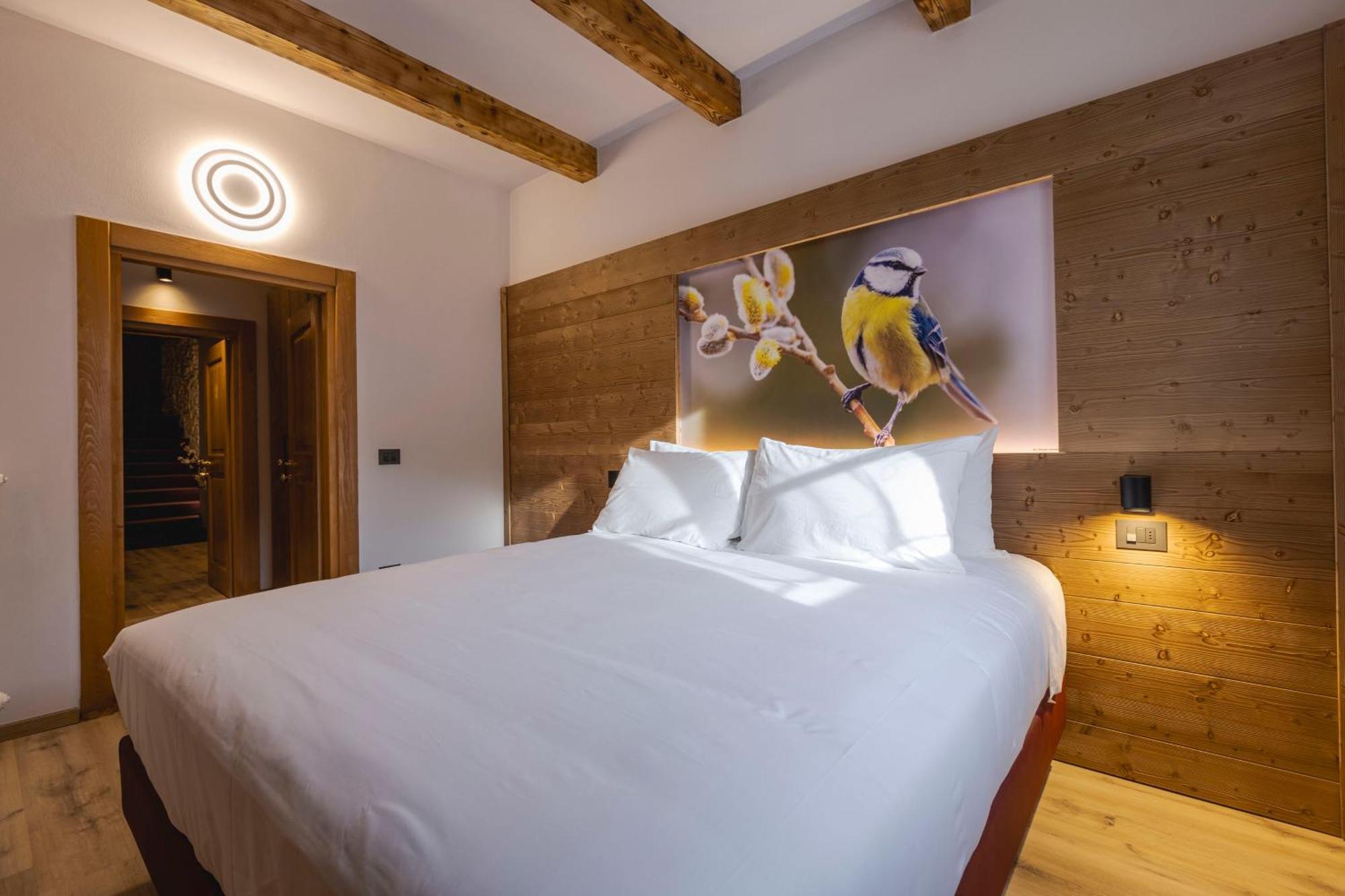 Granduca Mountain Wellness Apartments Campigna Exteriér fotografie
