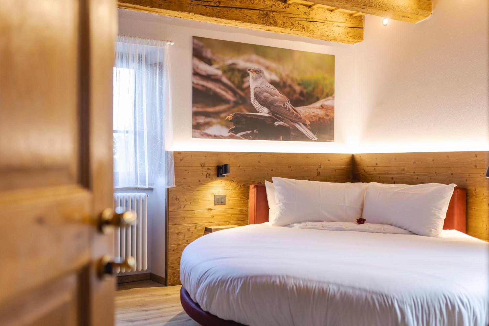 Granduca Mountain Wellness Apartments Campigna Exteriér fotografie